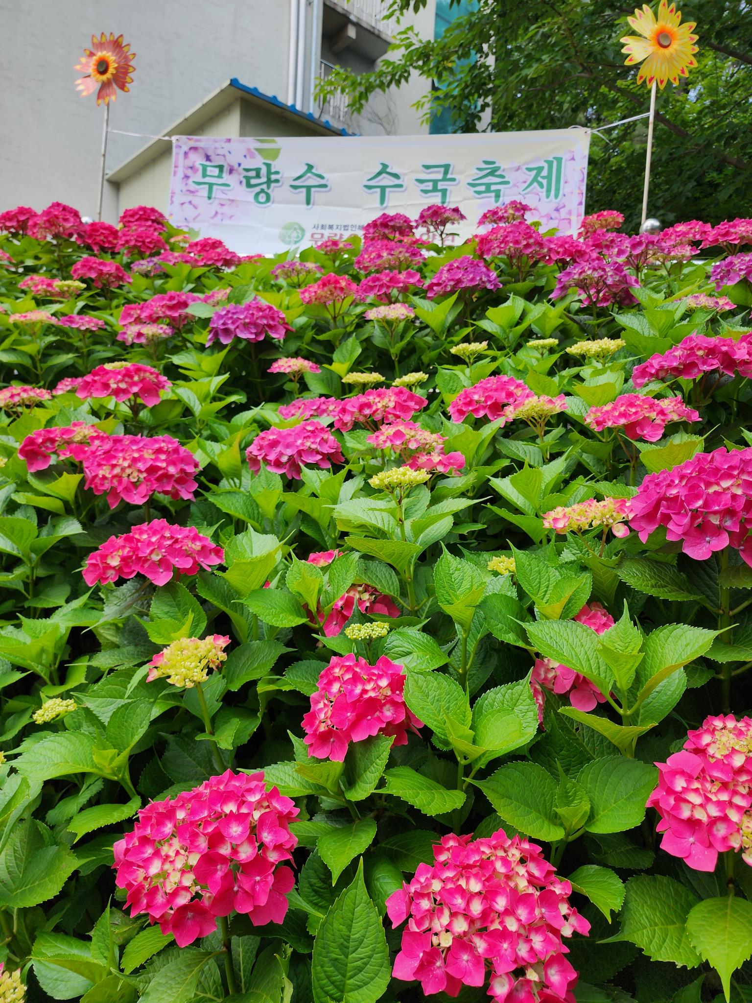 무량수노인요양원 이미지 37