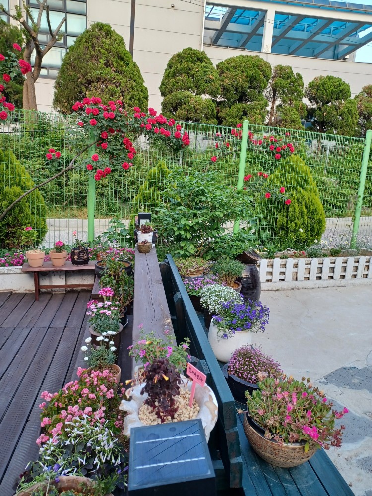 메디케어요양원 이미지 3