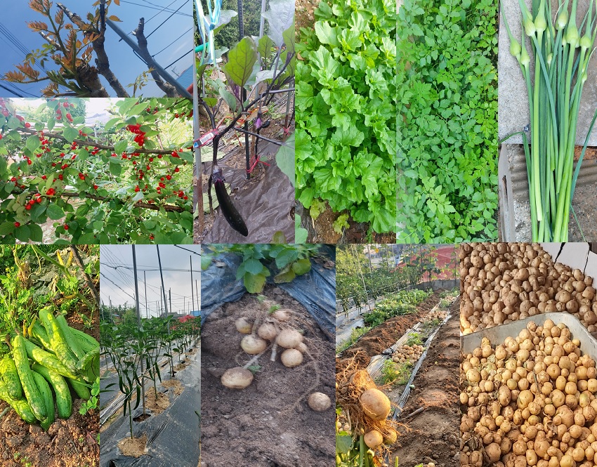 월롱패밀리 요양원 이미지 3