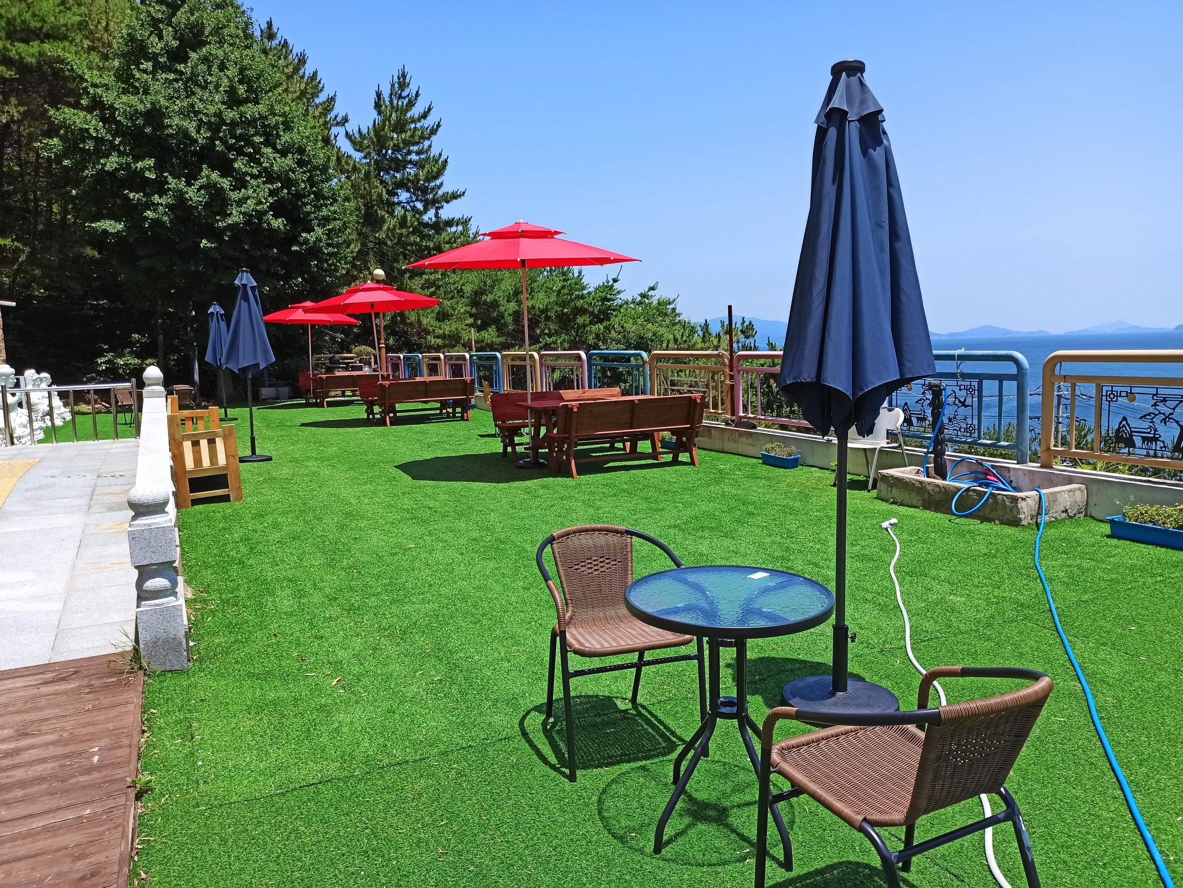 하얀연꽃 이미지 10