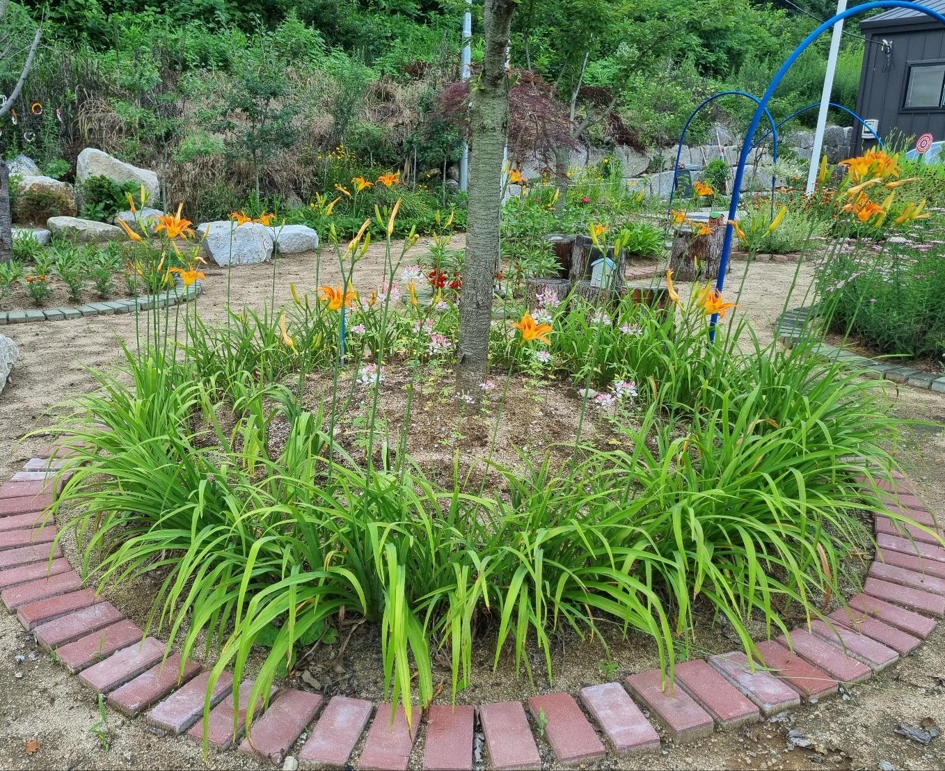 목천요양원 이미지 14