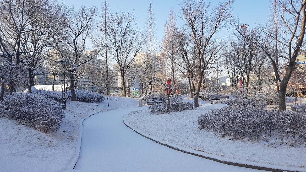 플래티늄 이미지 5