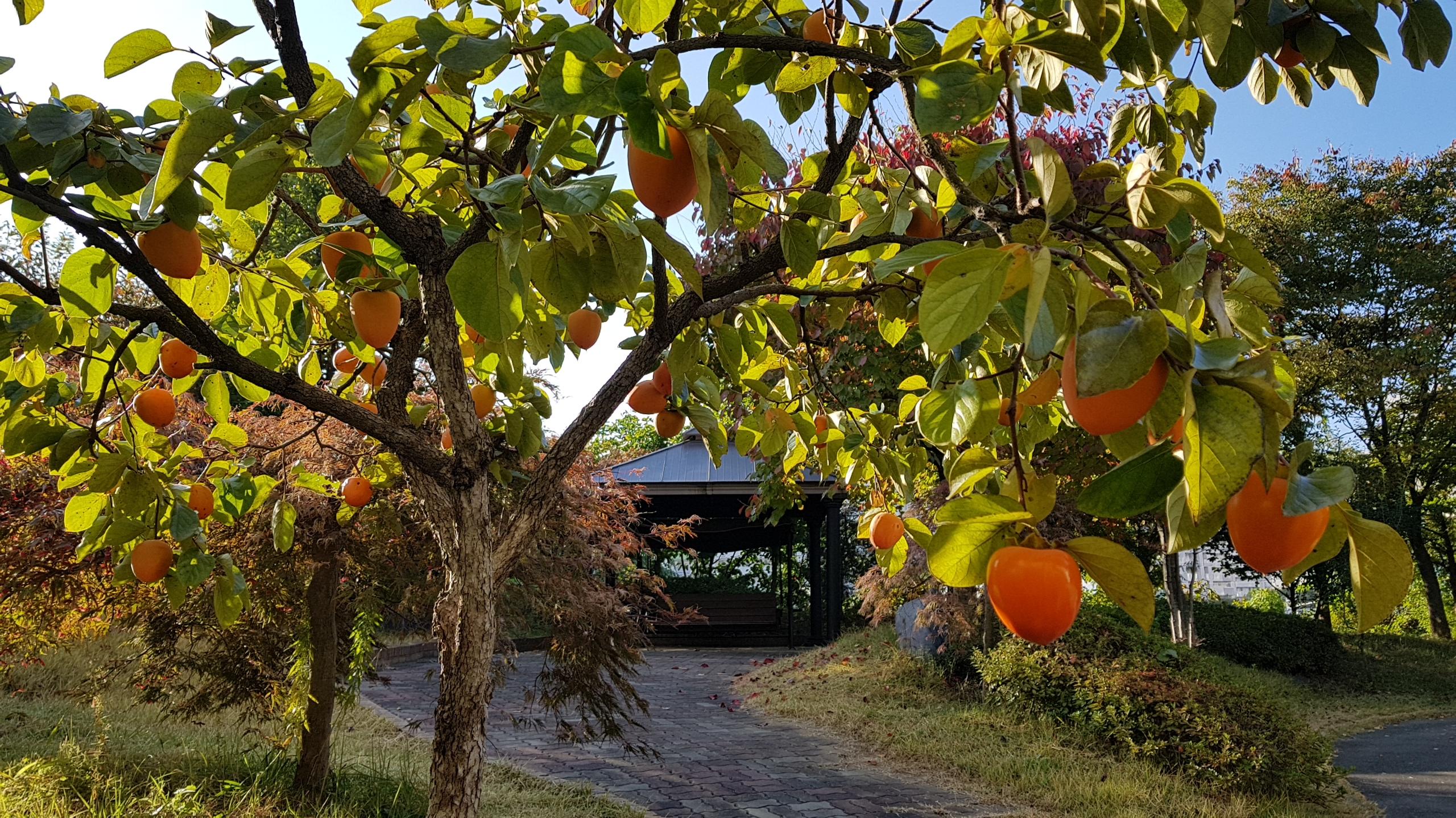 플래티늄 이미지 4