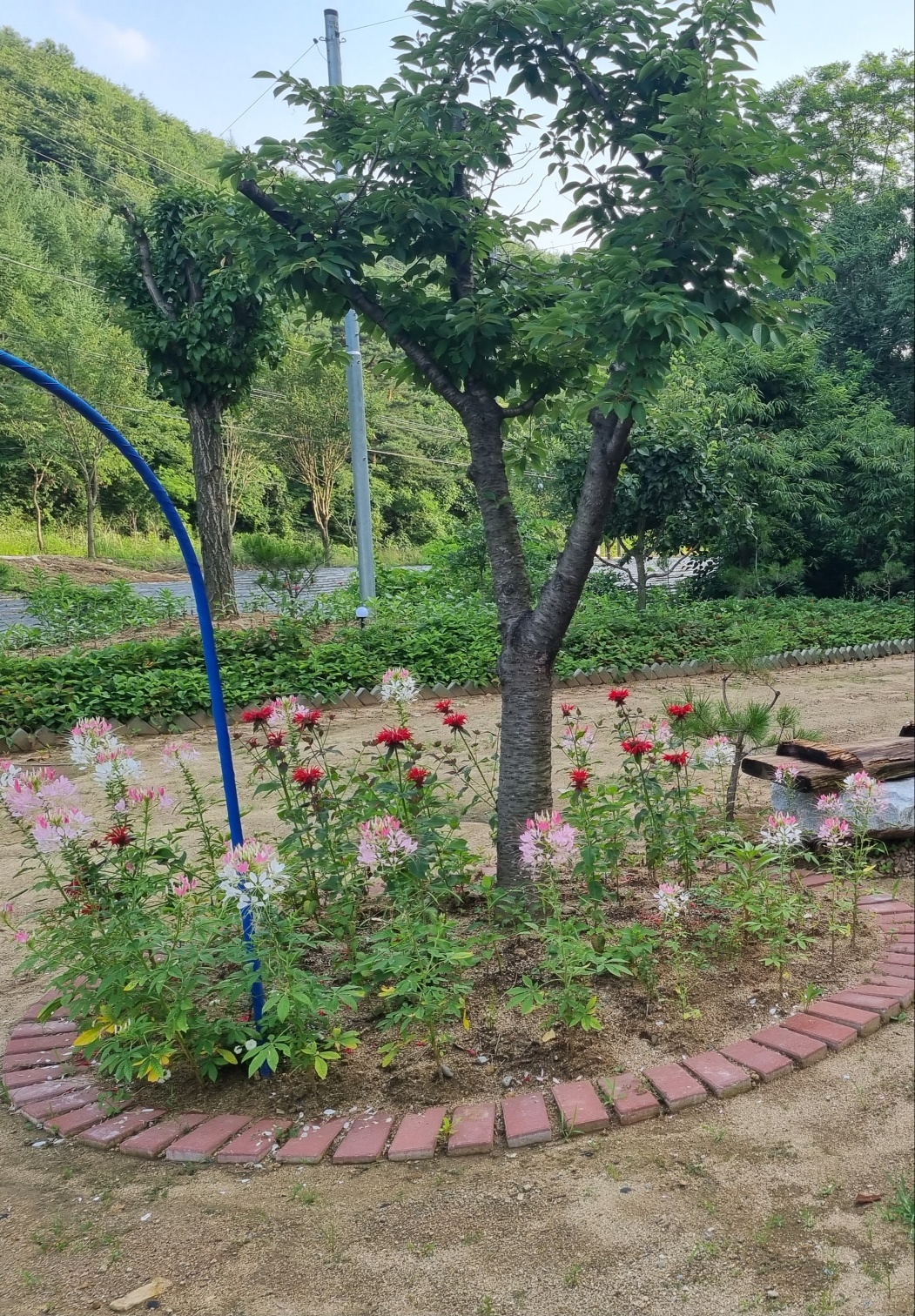 목천요양원 이미지 11