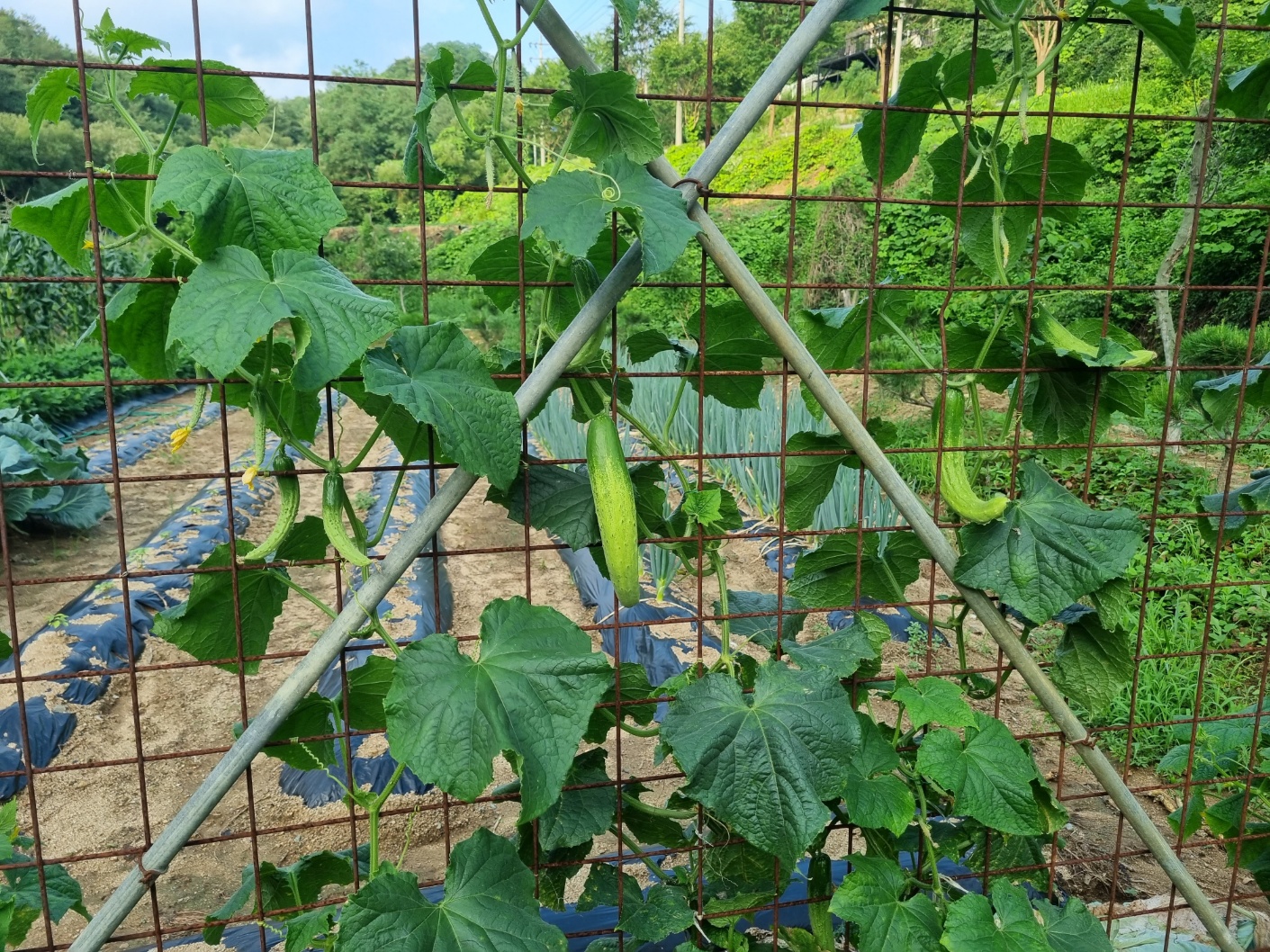 목천요양원 이미지 17