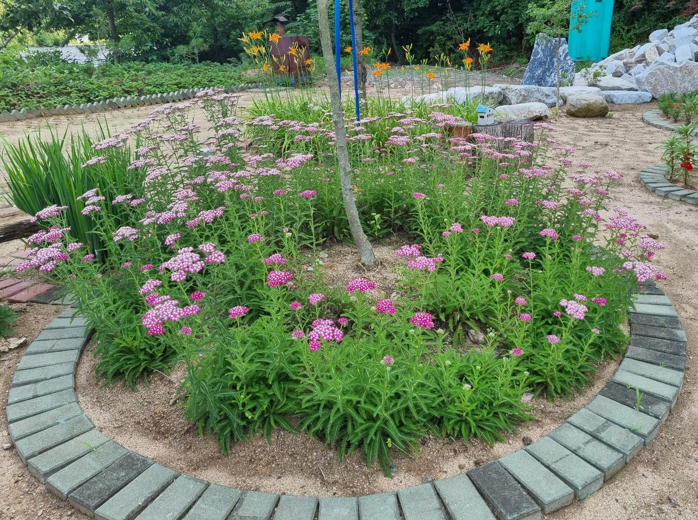 목천요양원 이미지 16