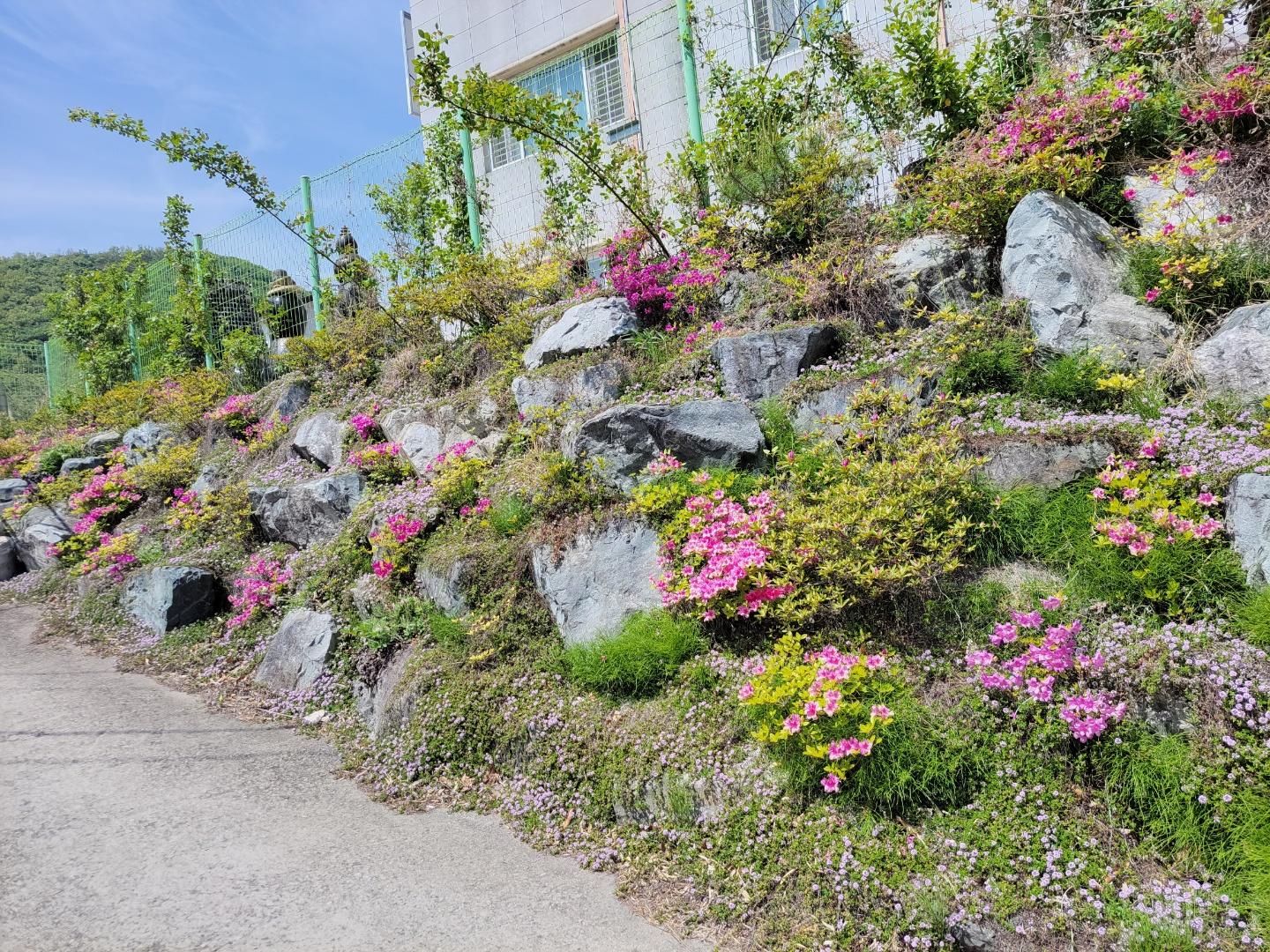 손안애 복 요양원 이미지 6