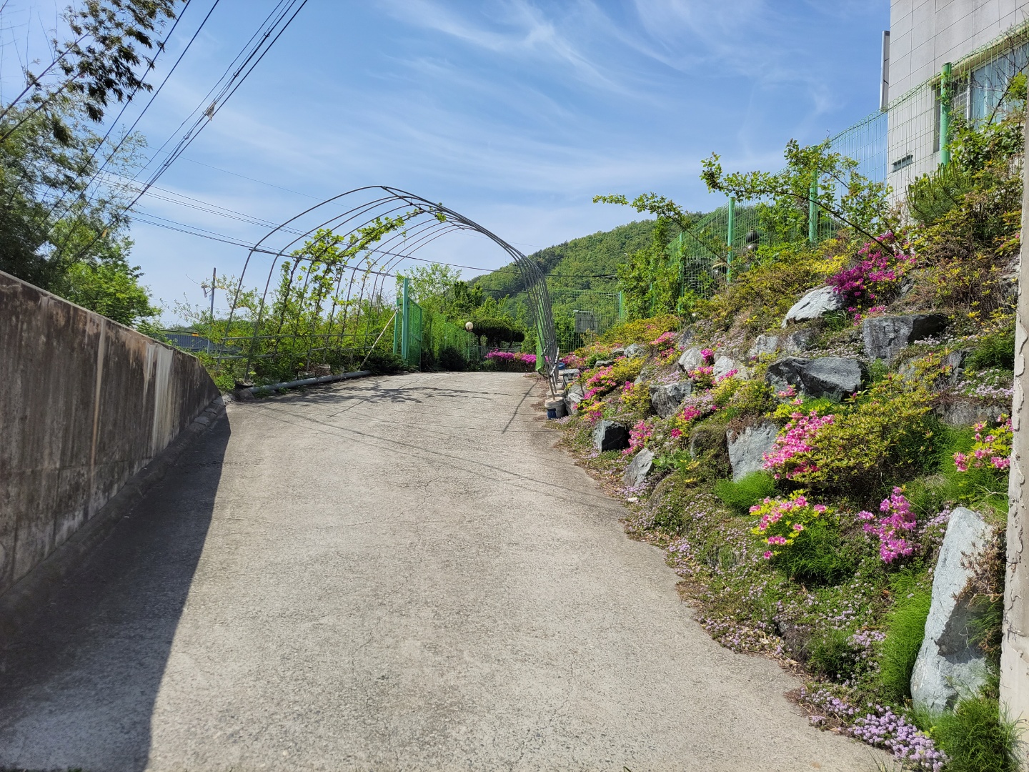 손안애 복 요양원 이미지 7