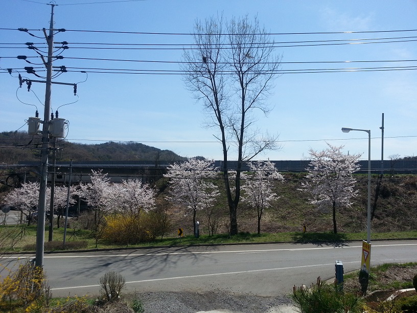 손안애 복 요양원 이미지 12