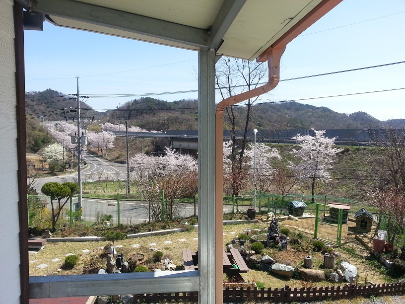 손안애 복 요양원 이미지 13