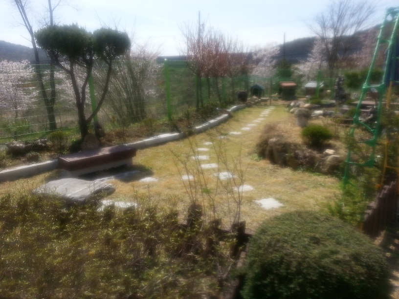 손안애 복 요양원 이미지 14