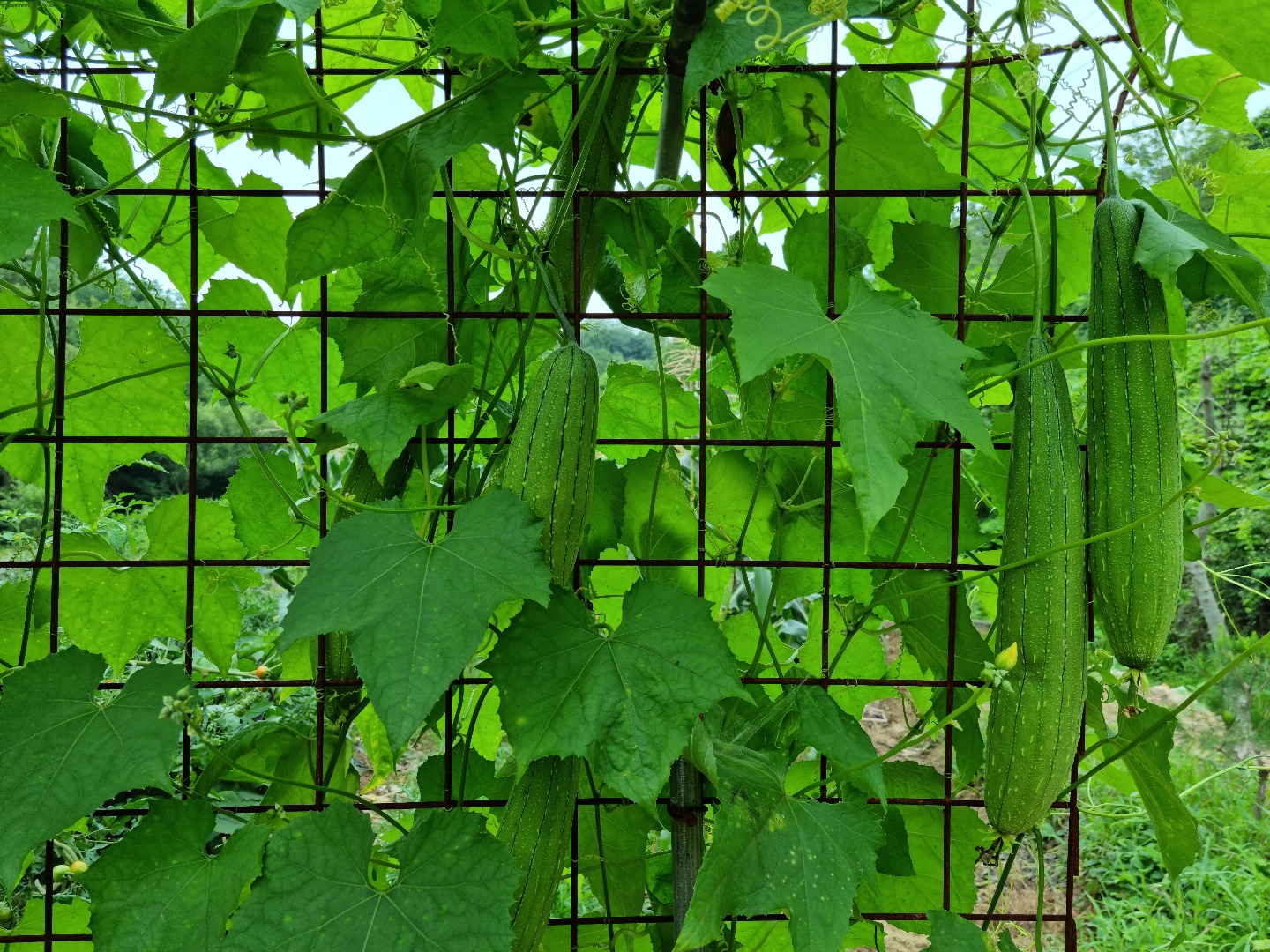 목천요양원 이미지 21