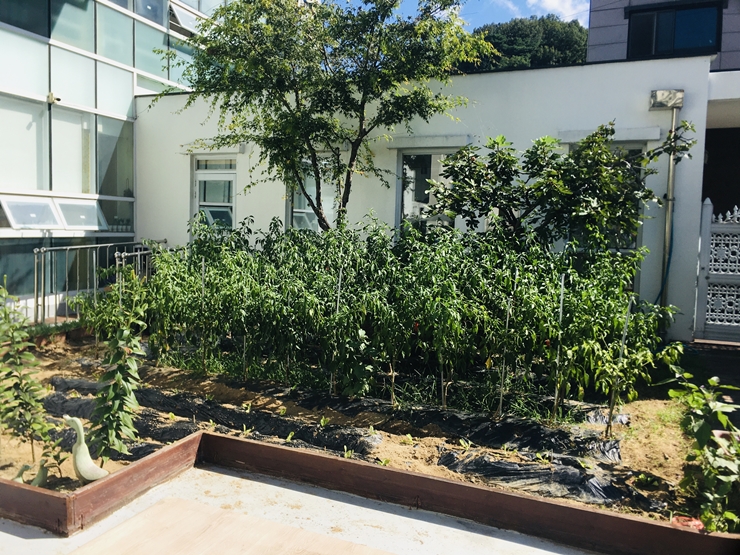 신세계실버타운 이미지 5