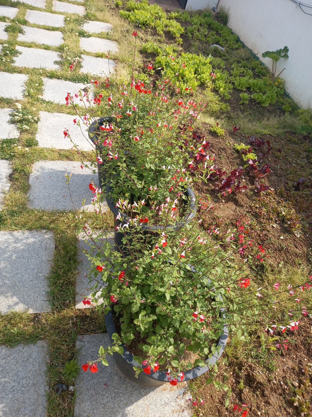 하늘마루효요양원 이미지 6