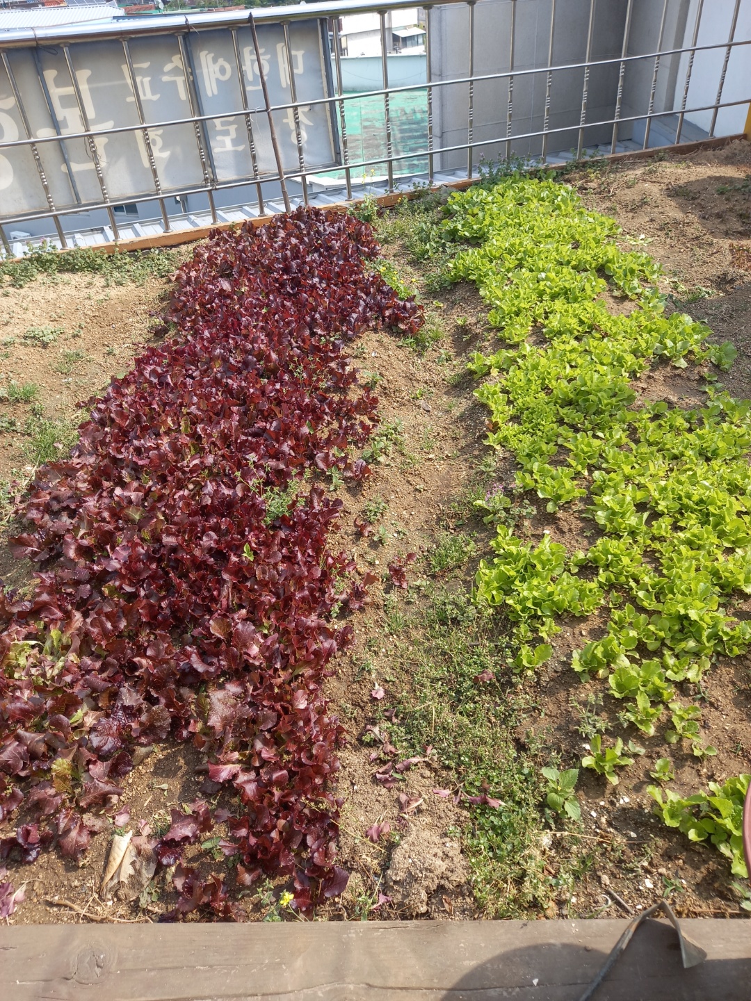 하늘마루효요양원 이미지 4