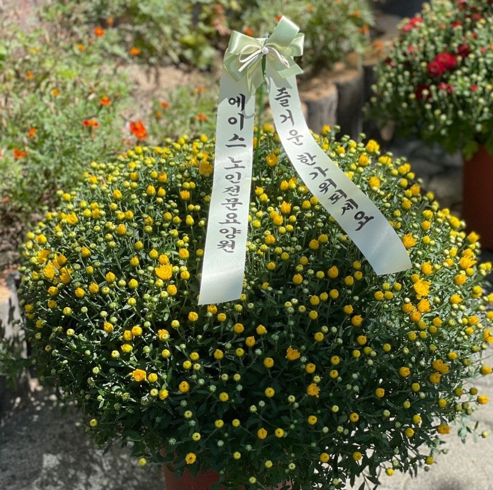 에이스노인전문요양원 이미지 11