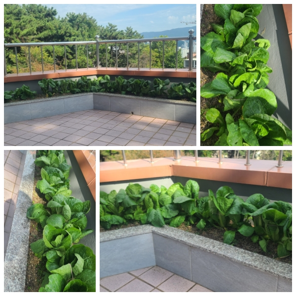 무량수노인요양원 이미지 33