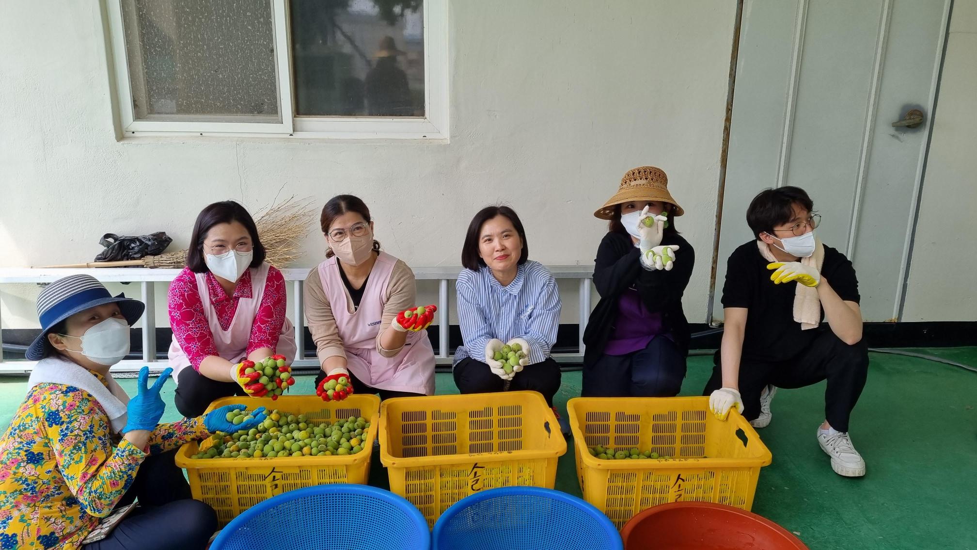 노인요양원 솔향 이미지 2