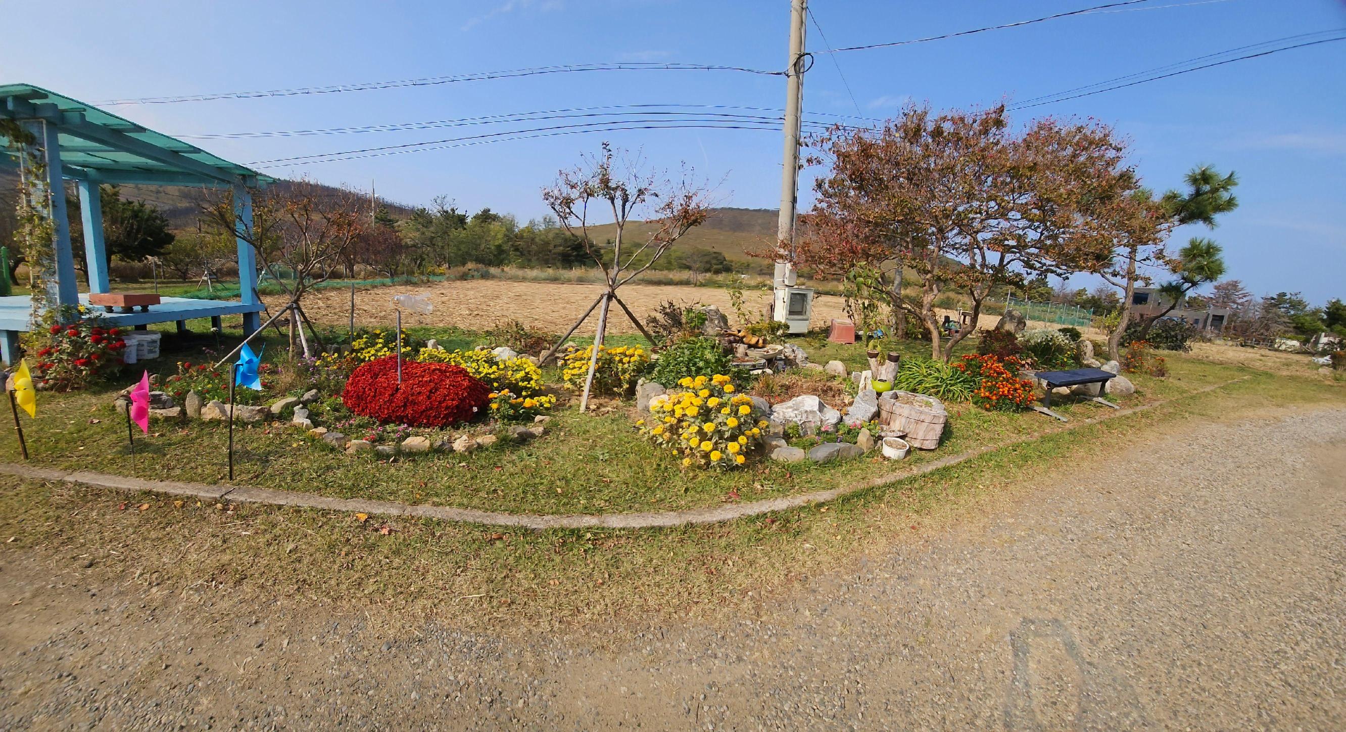 베다니마을 이미지 5