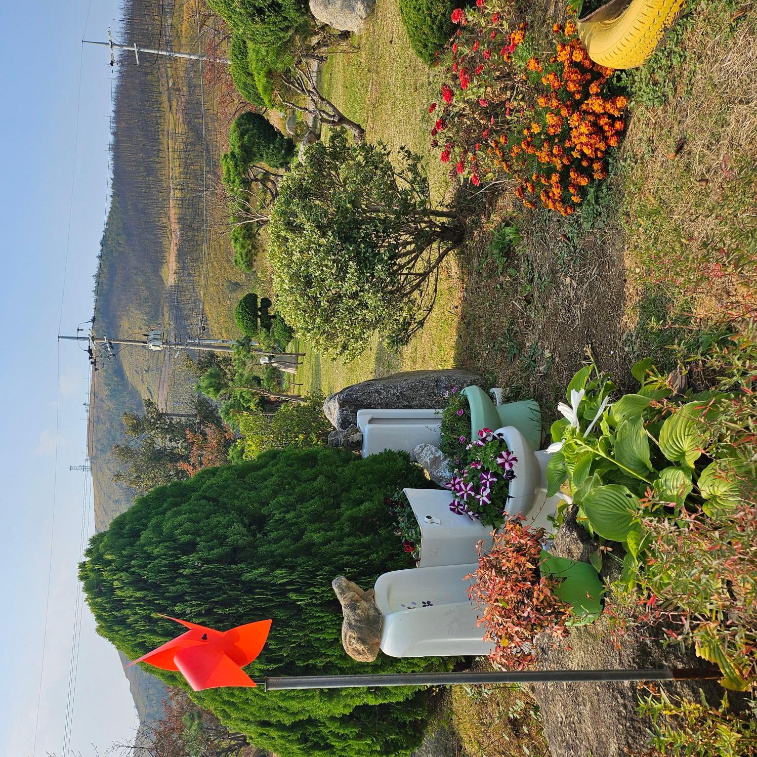 베다니마을 이미지 3