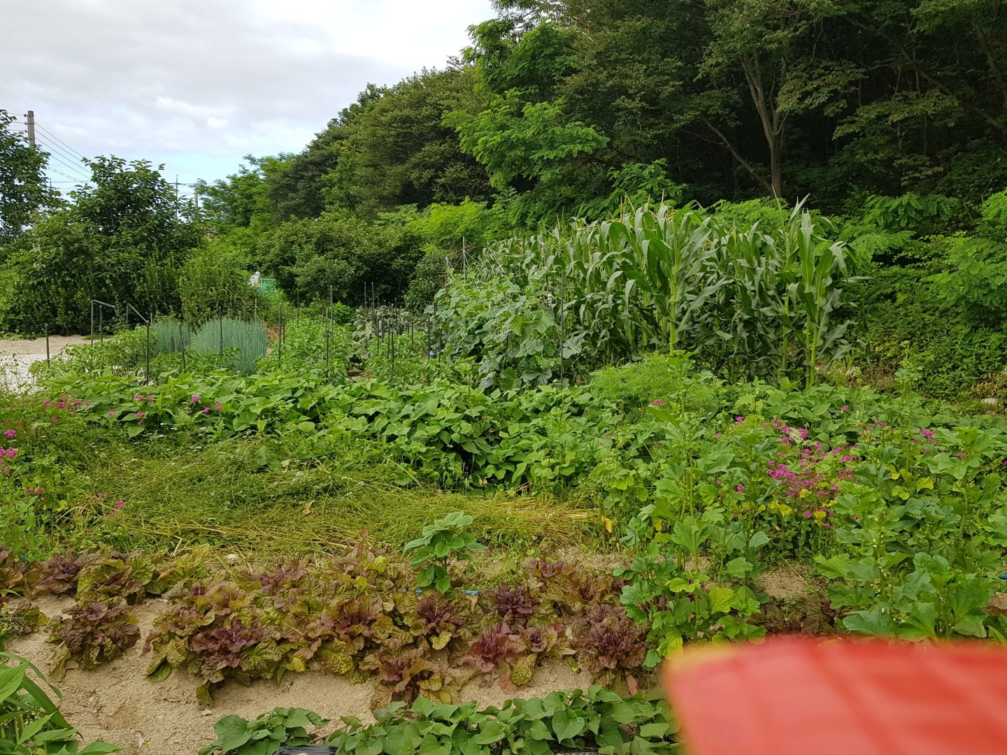 벧엘요양원 이미지 2