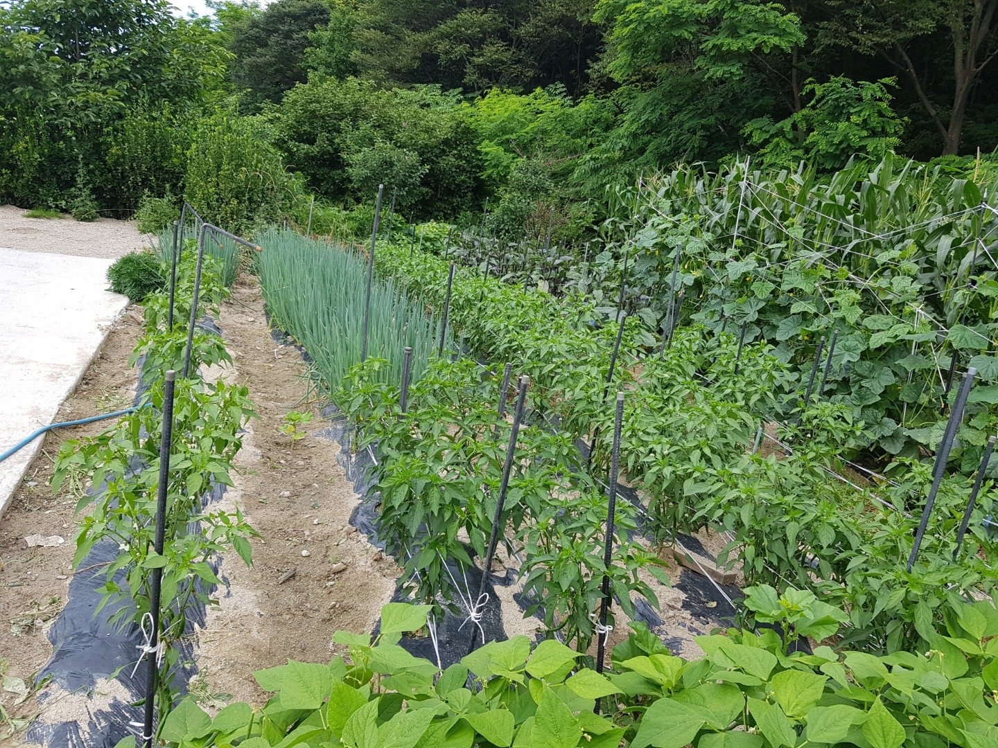 벧엘요양원 이미지 3