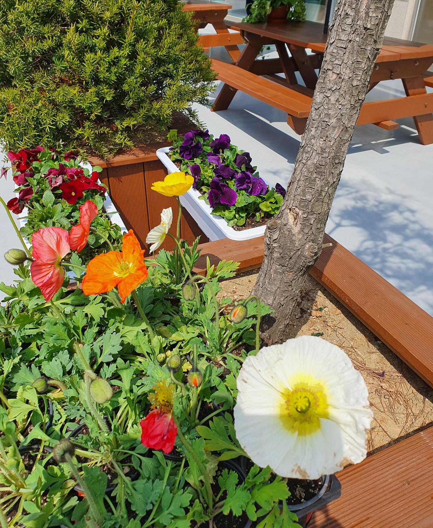 효은요양원 이미지 4