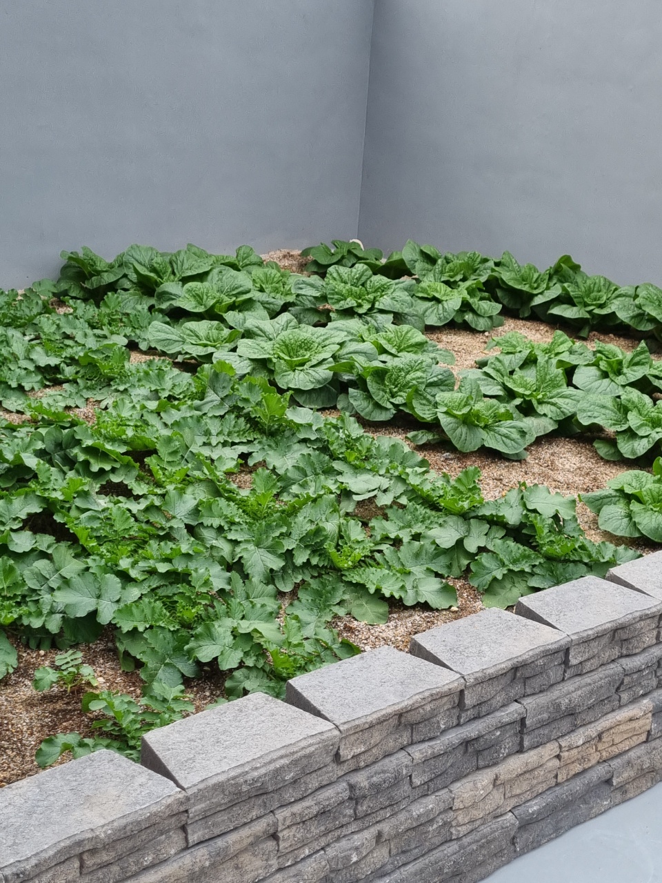 노블레스요양원 이미지 8