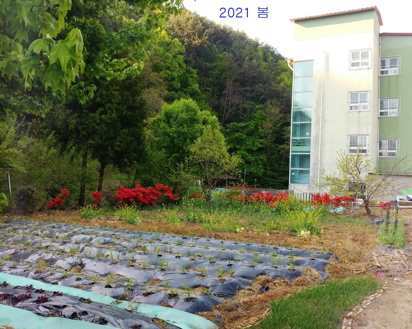 백양실버홈 전원생활어르신의집 이미지 13