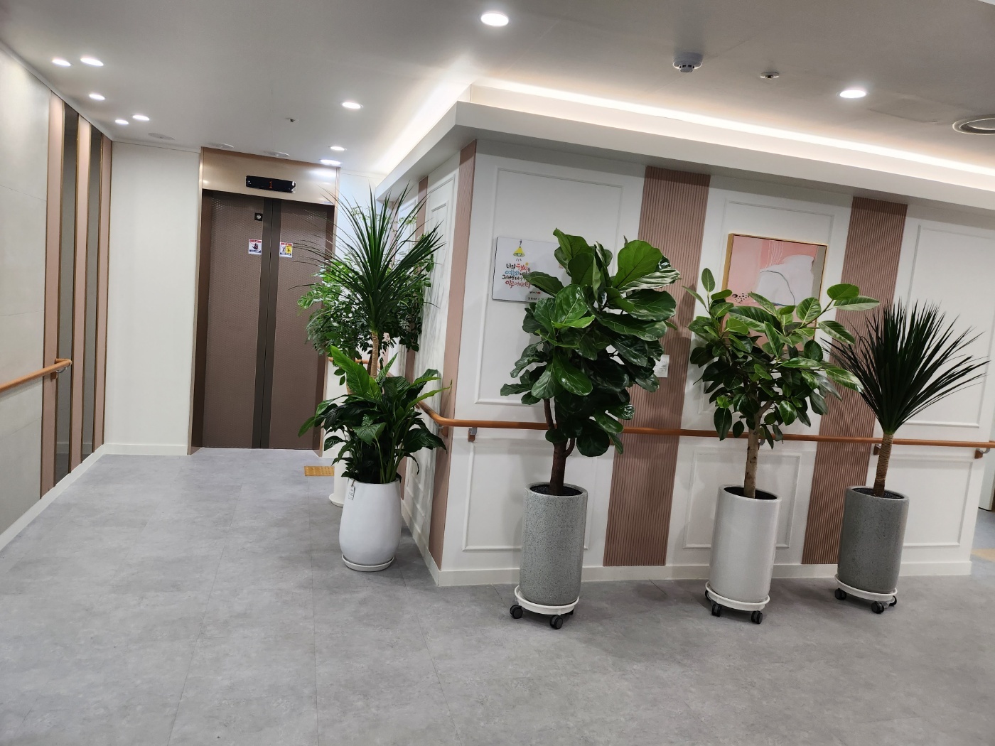 실버라인요양원 이미지 6