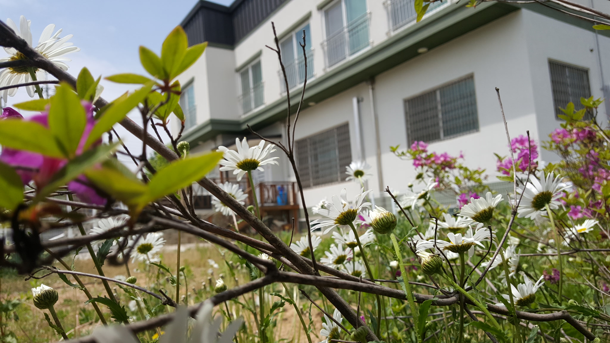 시니어스 너싱홈 이미지 3