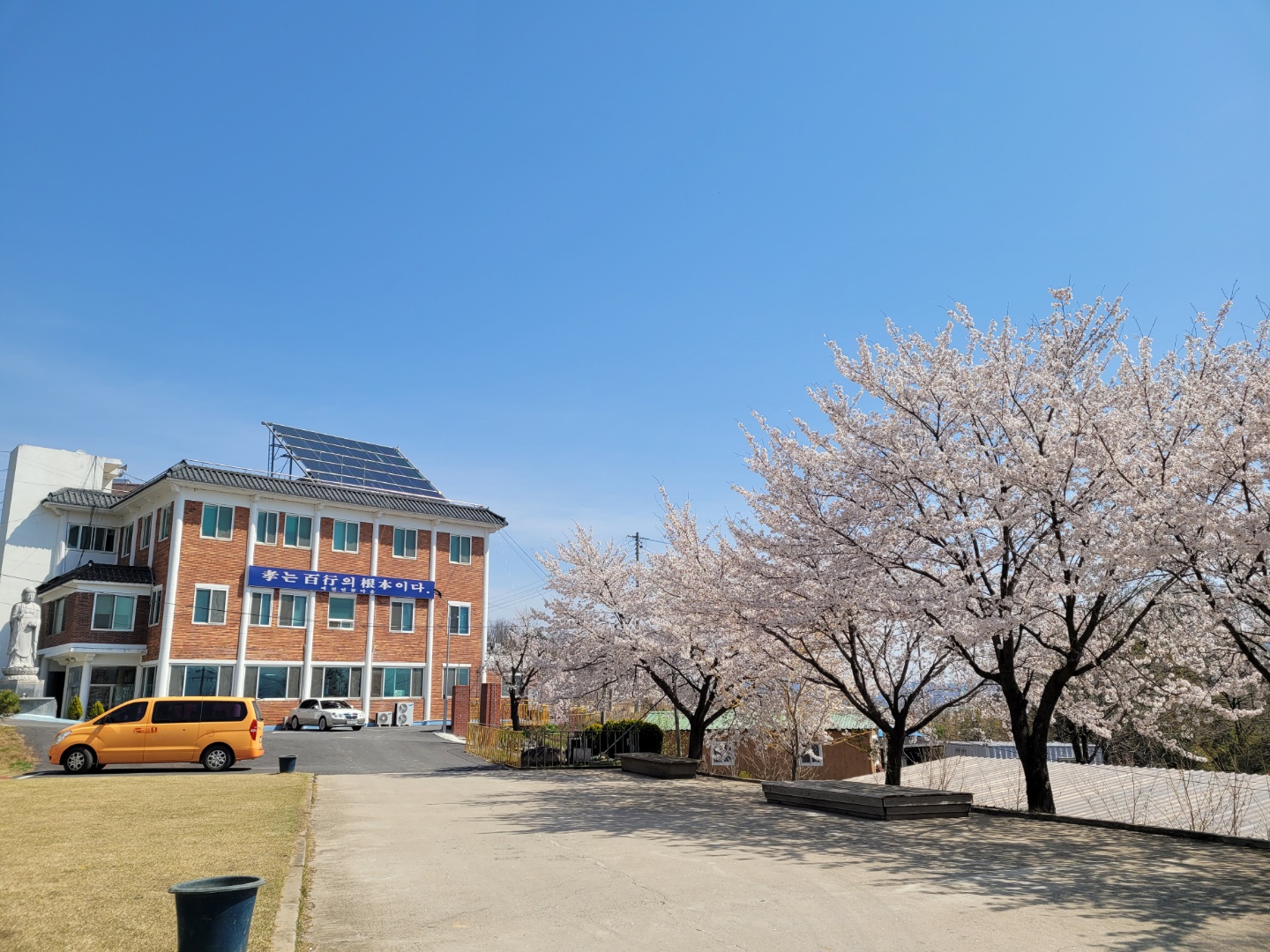 예천연꽃마을 이미지 2