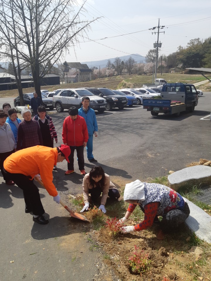 예천연꽃마을 이미지 15