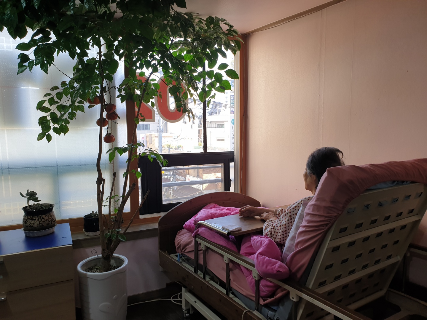 늘푸른요양원 이미지 4