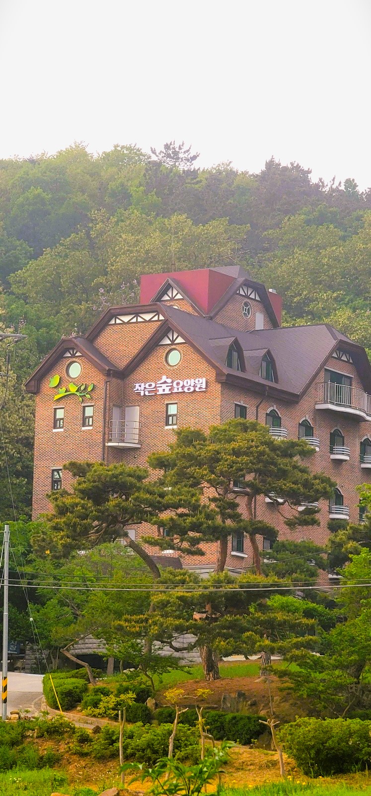 작은 숲 요양원