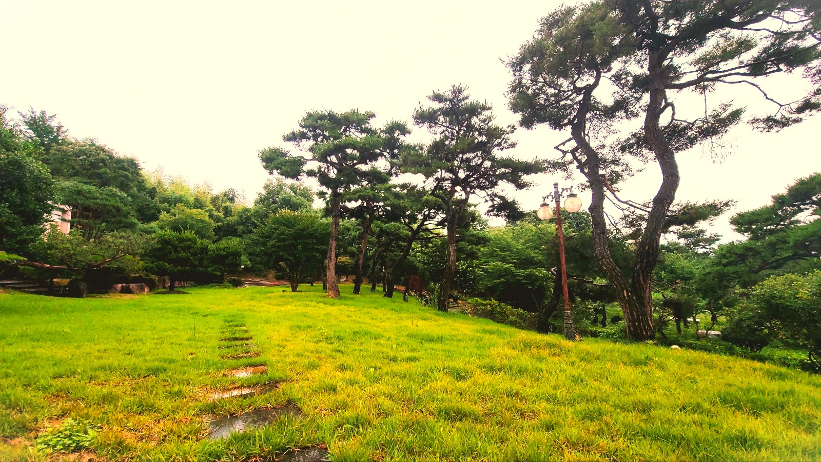 작은 숲 요양원 이미지 6