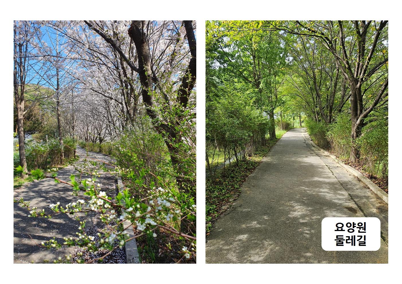 청주노인요양원 이미지 3