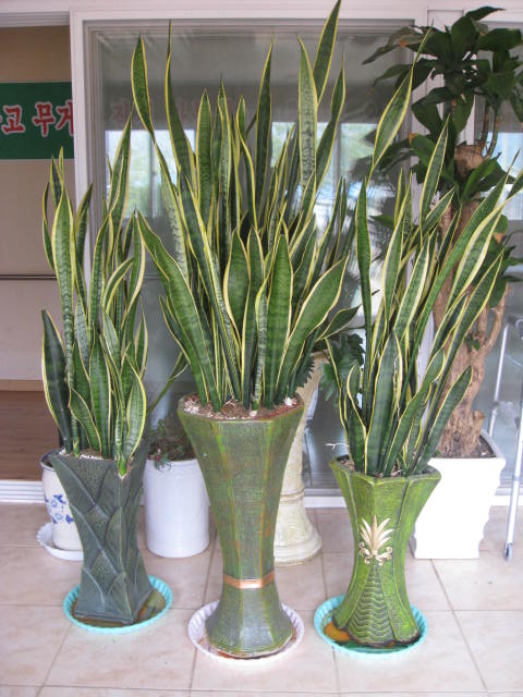 사평예랑의집 이미지 18