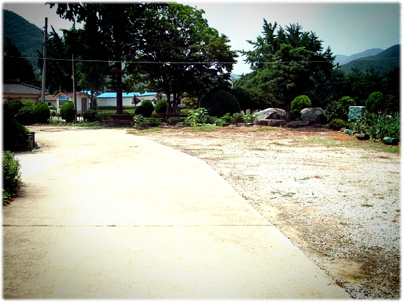 로댐실버케어 이미지 2