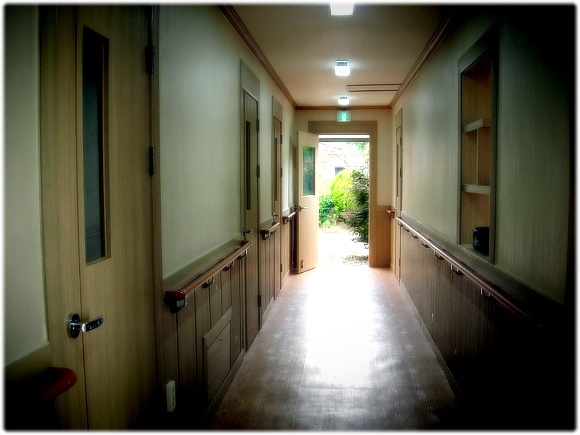 로댐실버케어 이미지 7