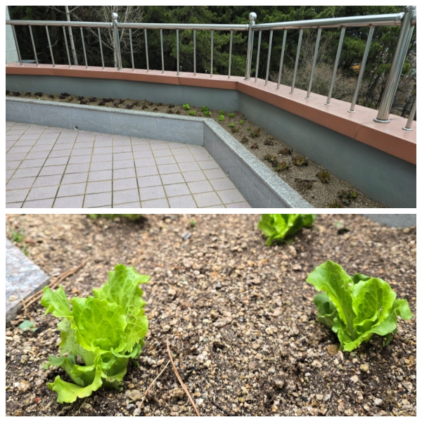 무량수노인요양원 이미지 27