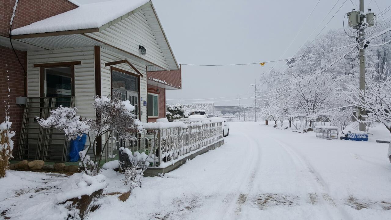 더드림공동생활가정