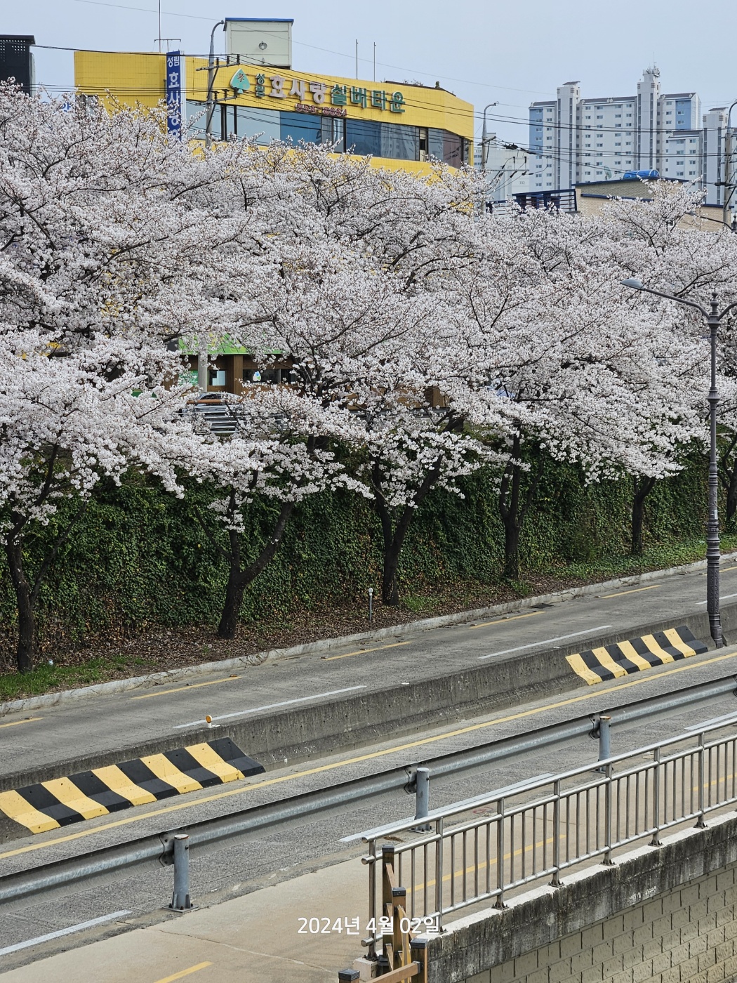 성림효사랑실버타운 이미지 2