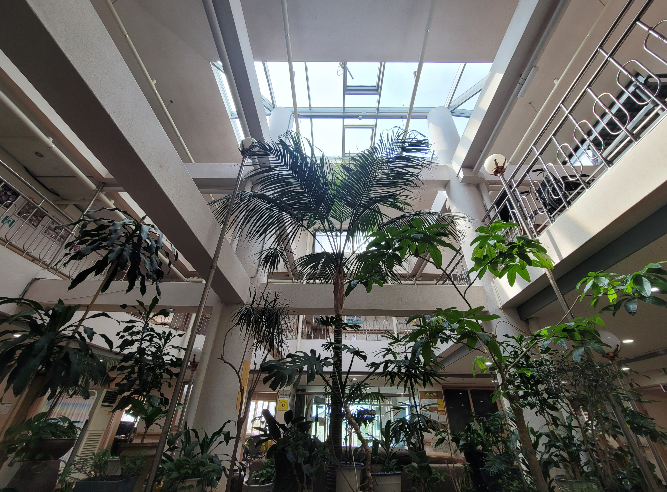 성암마루 이미지 23