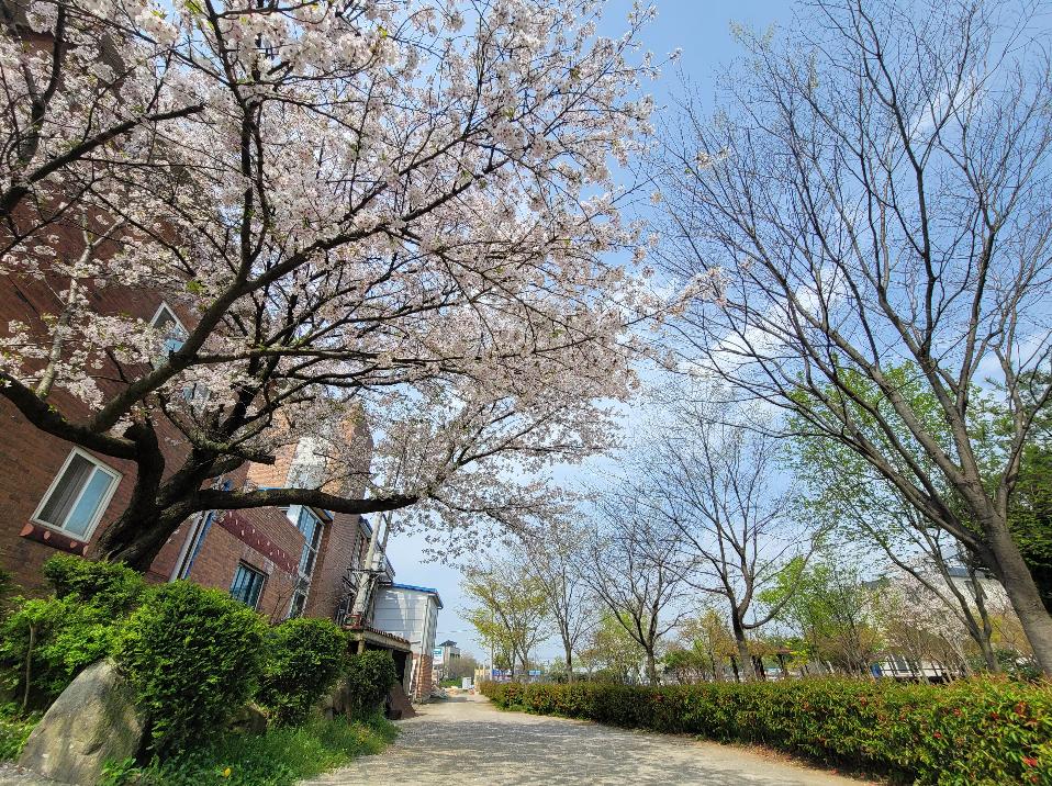 성암마루 이미지 20