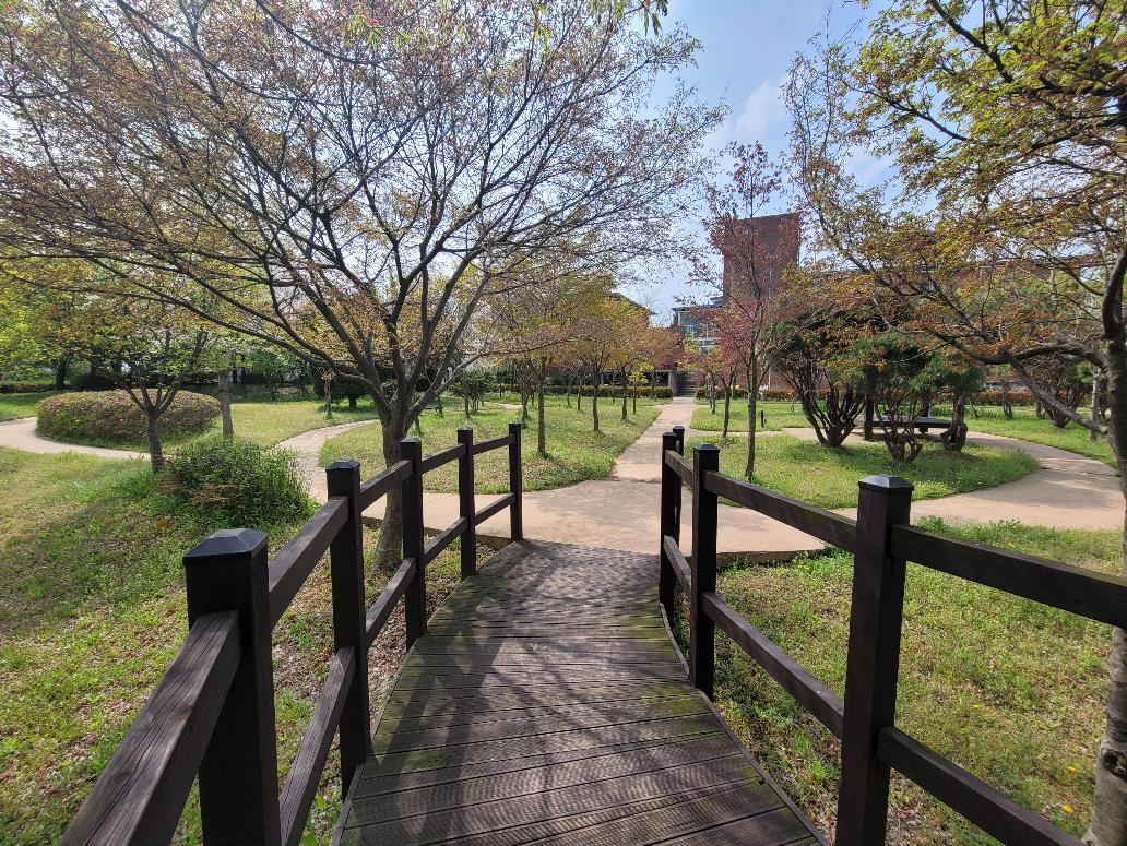 성암마루 이미지 19