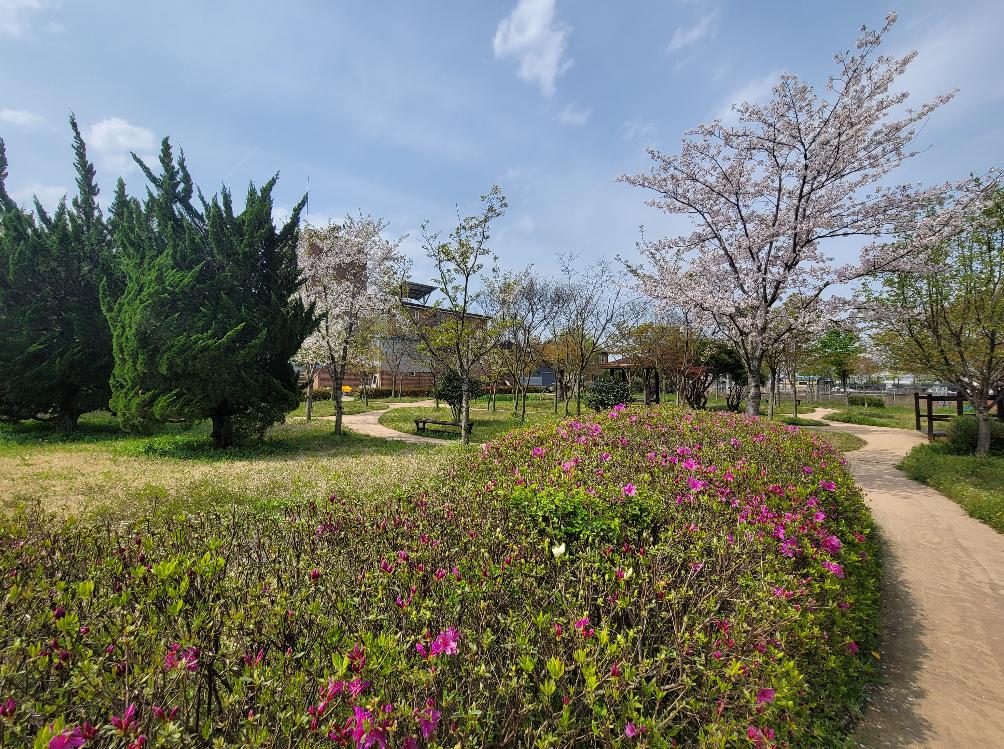 성암마루 이미지 18