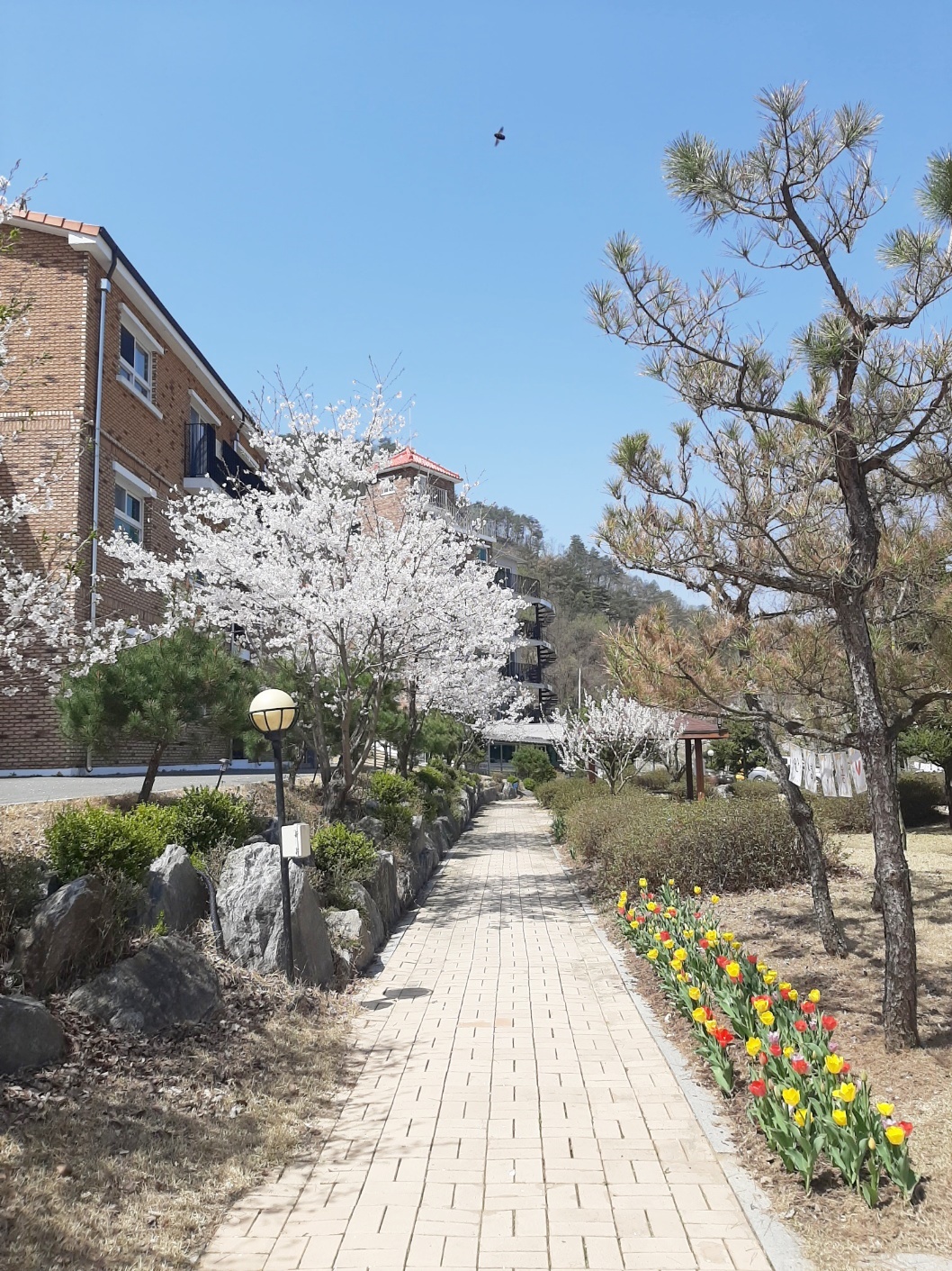 너브내노인전문요양원 이미지 7