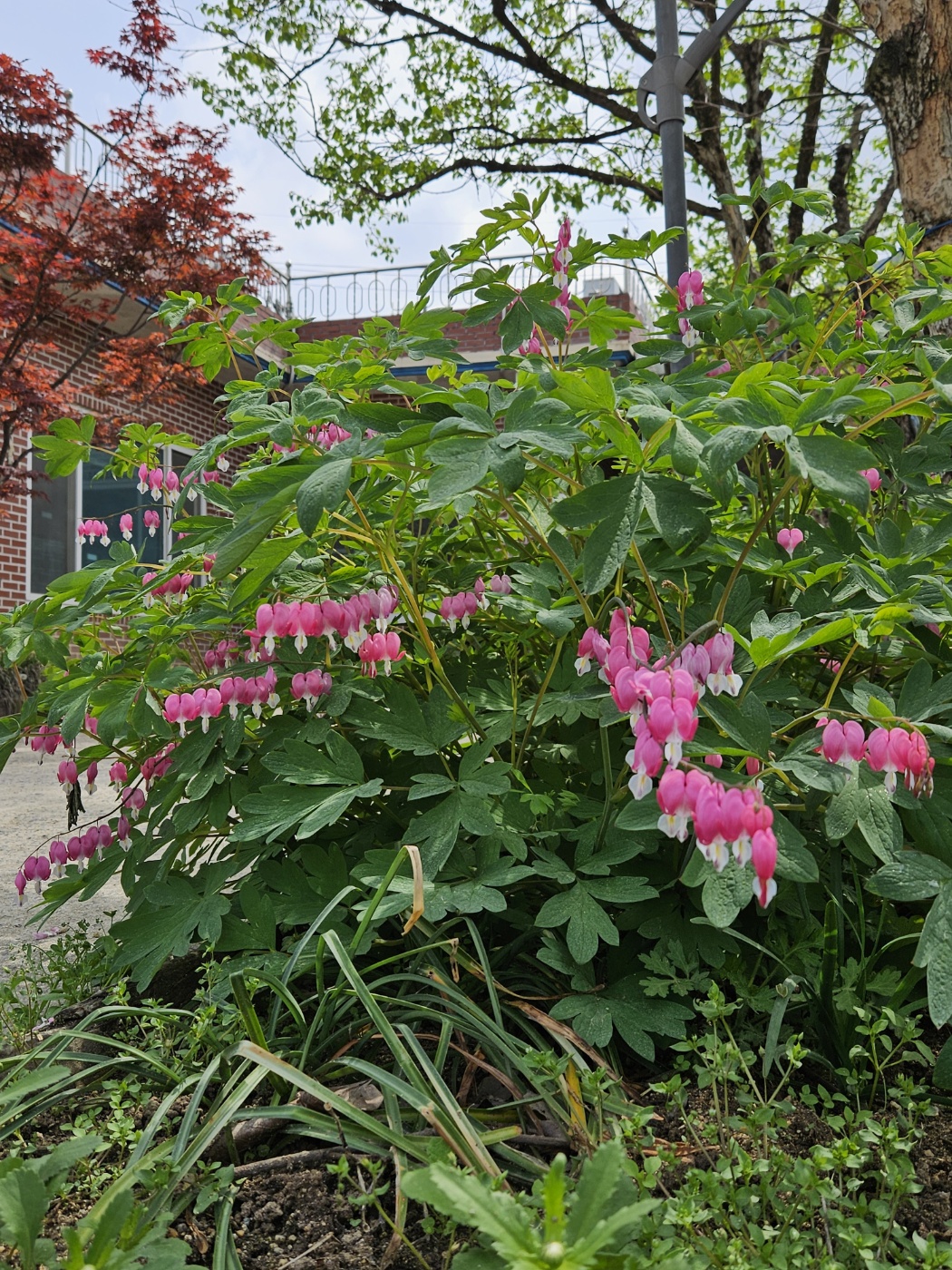 늘사랑요양원 이미지 2