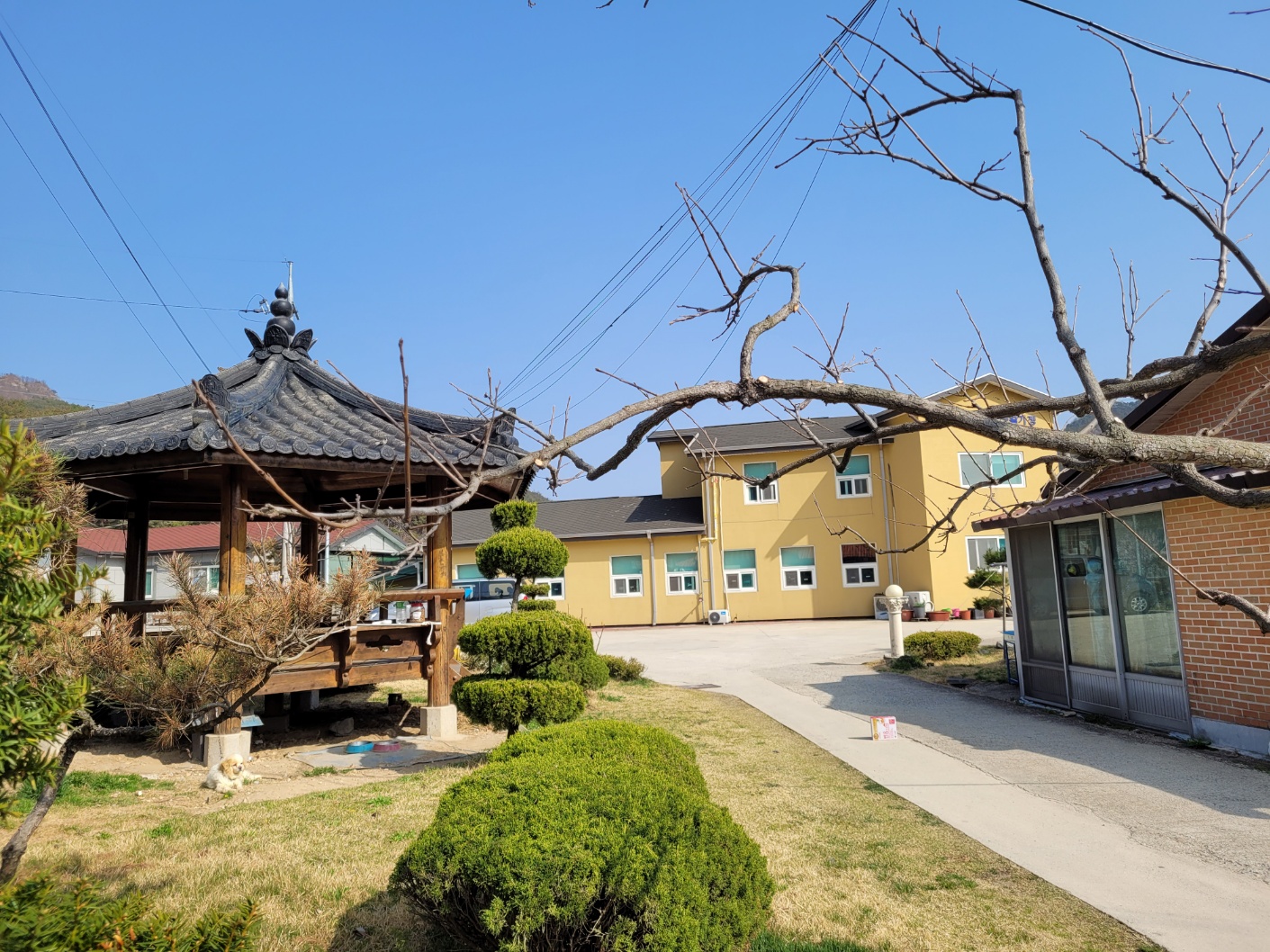 베데스다노인공동생활가정